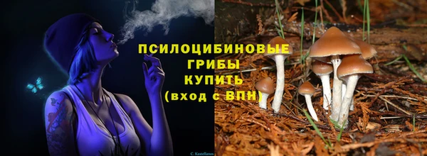 ПСИЛОЦИБИНОВЫЕ ГРИБЫ Володарск