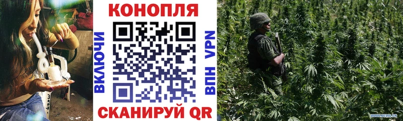 Шишки марихуана гибрид маркетплейс как зайти Дегтярск купить наркоту блэк спрут tor